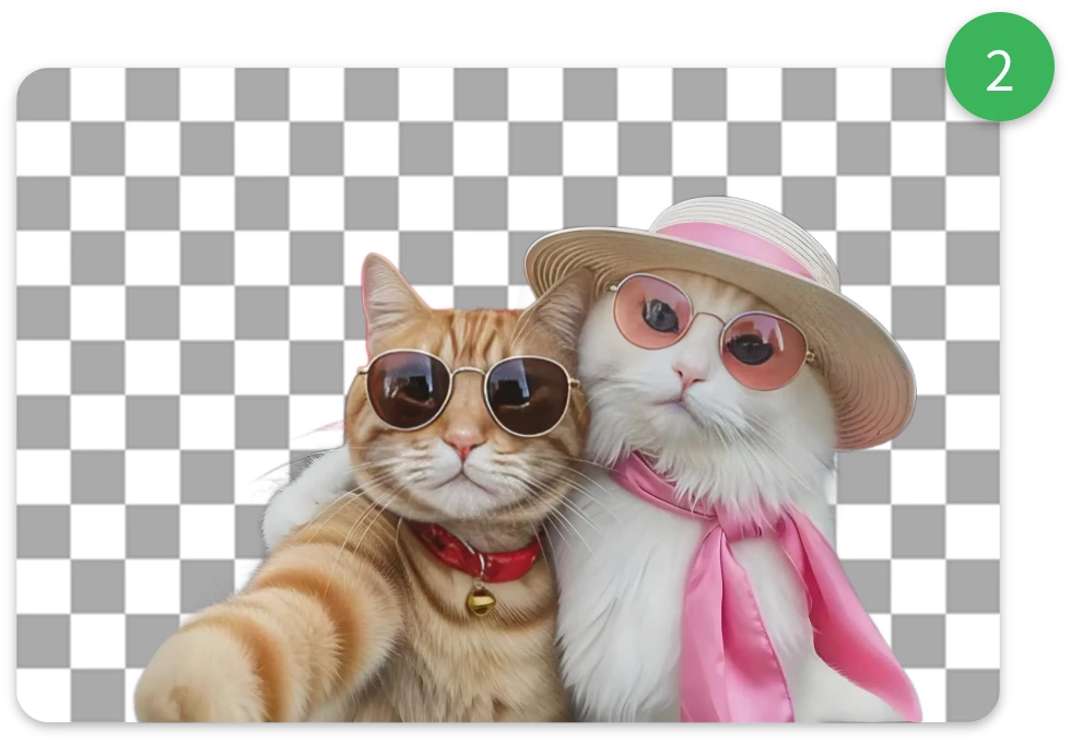 Background removed automatically